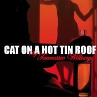 Early & Blake Join Neighborhood Playhouse's CAT ON A HOT TIN ROOF, Opens 7/9 Video